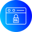 Automatic SSL Certificate